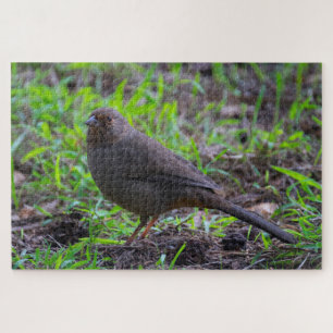 California Towhee Jigsaw Puzzle