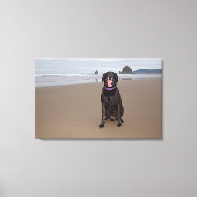 California, USA Canvas Print (Front)