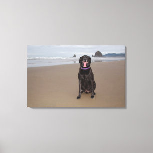 California, USA Canvas Print