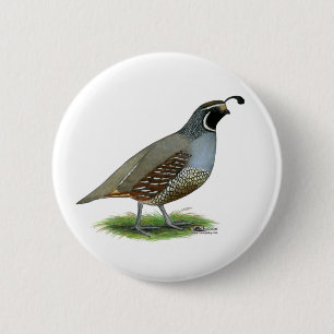California Valley Quail 2 Inch Round Button