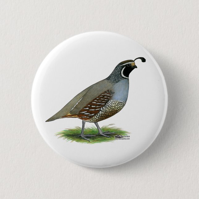 California Valley Quail 2 Inch Round Button (Front)
