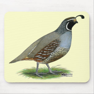 California Valley Quail Mouse Pad