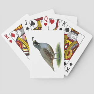 California Valley Quail Playing Cards