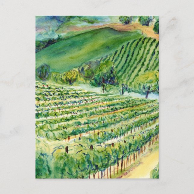 California Vineyard Postcard (Front)