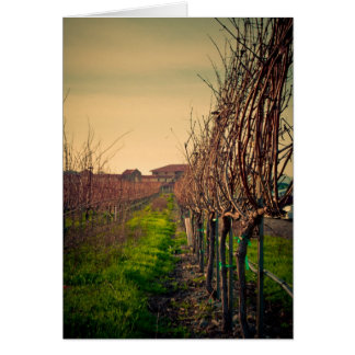 California Vineyards