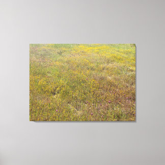 California Wildflower Impressions Canvas Print