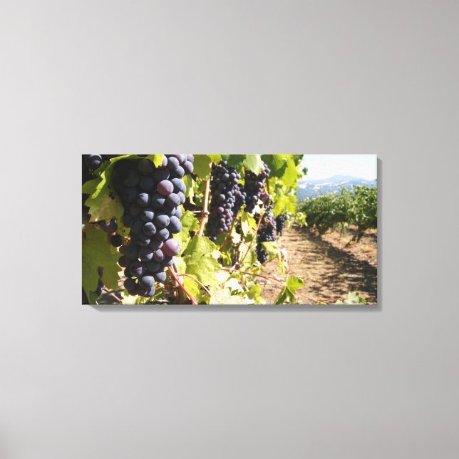 California Wine Country Canvas Print (Front)