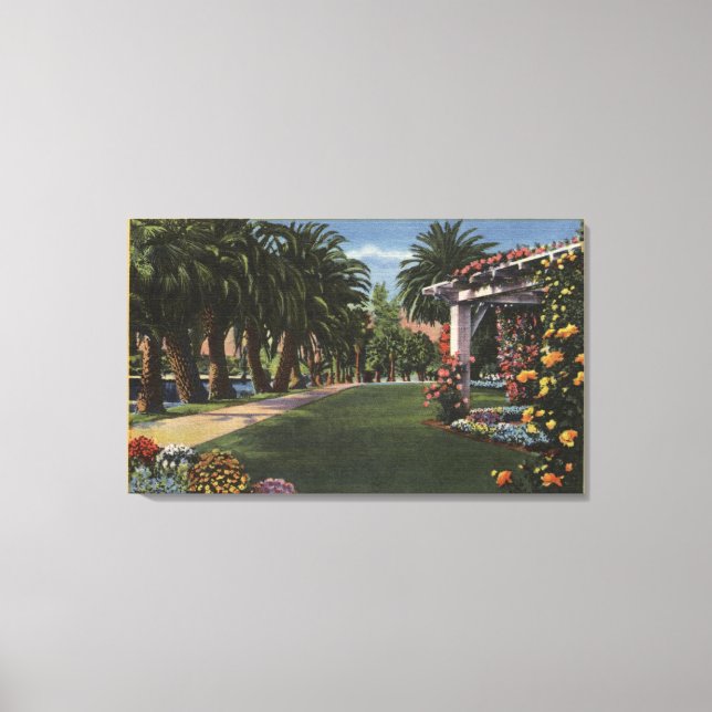CaliforniaA Palm Shaded Walk Canvas Print (Front)