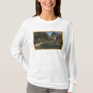 CaliforniaA Palm Shaded Walk T-Shirt