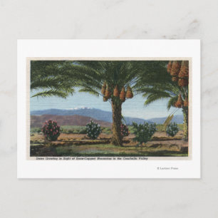 CaliforniaDates Growing in the Coachella Postcard