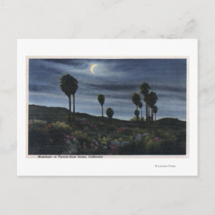 CaliforniaMoonlit View at Twenty-Nine Palms Postcard
