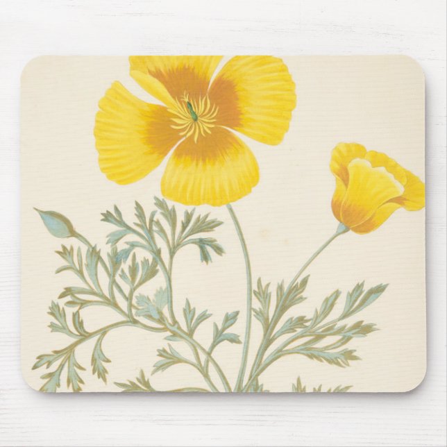 Californian Eschscholtzia Mouse Pad (Front)