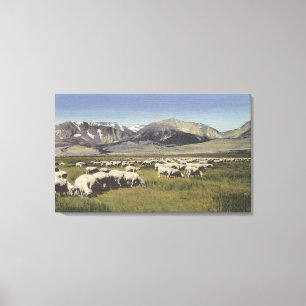 CaliforniaSheep Grazing in the High Sierra Canvas Print