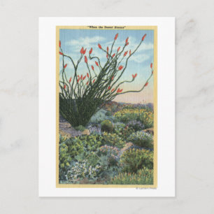 CaliforniaView of Cacti in Bloom Postcard