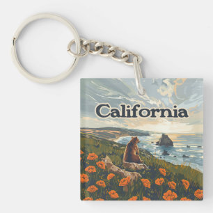 Californie Bear Poppies Fleurs Côte Retro