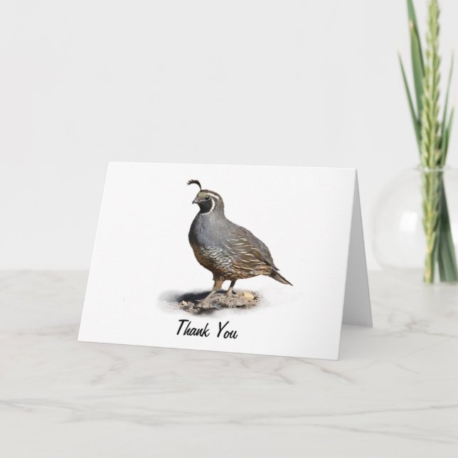 CALIFORNIE QUAIL - MERCI (Devant)