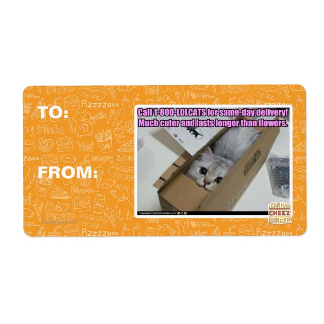 Call 1-800-LOLCATS (Front)
