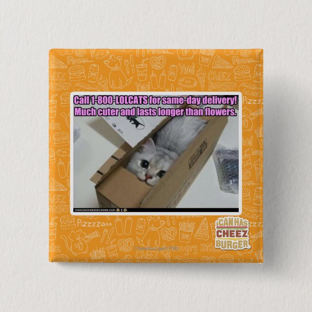Call 1-800-LOLCATS 2 Inch Square Button (Front)