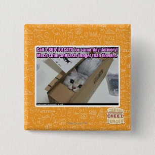 Call 1-800-LOLCATS 2 Inch Square Button