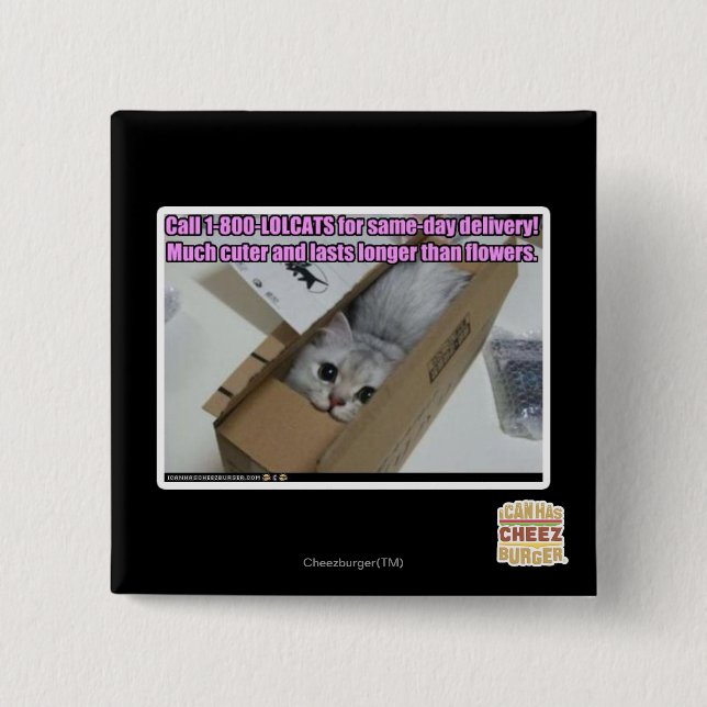 Call 1-800-LOLCATS 2 Inch Square Button (Front)