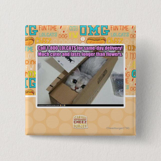Call 1-800-LOLCATS 2 Inch Square Button (Front)
