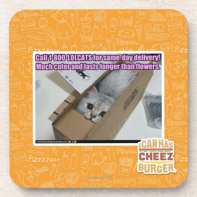 Call 1-800-LOLCATS Coaster (Front)