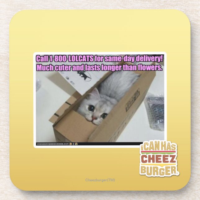 Call 1-800-LOLCATS Coaster (Front)