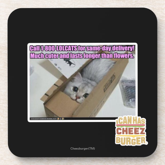 Call 1-800-LOLCATS Coaster (Front)