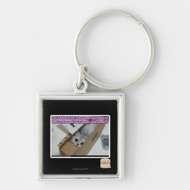 Call 1-800-LOLCATS Keychain (Front)