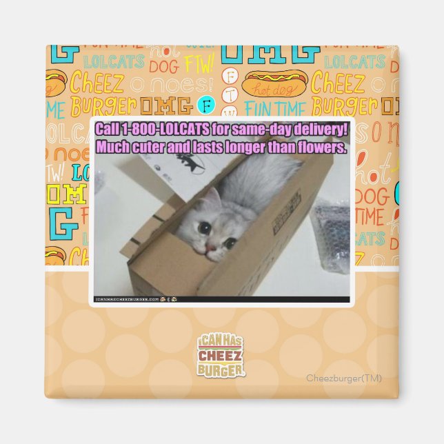 Call 1-800-LOLCATS Magnet (Front)