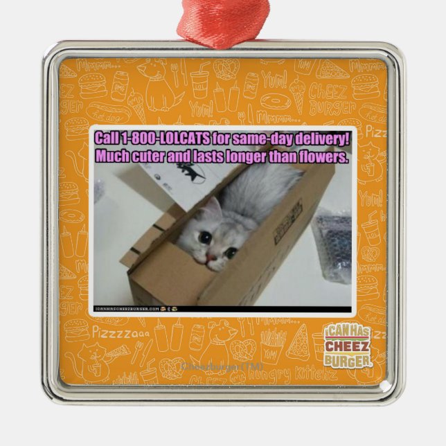 Call 1-800-LOLCATS Metal Ornament (Front)