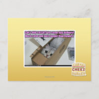 Call 1-800-LOLCATS