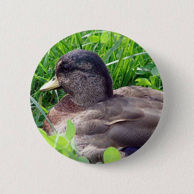 Call Duck Drake 2 Inch Round Button (Front)