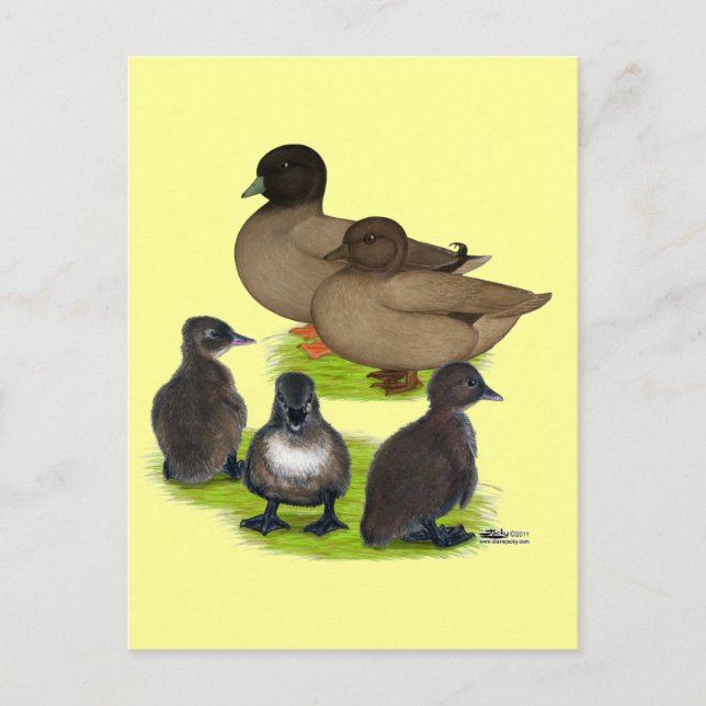 Call Duck Khaki Family Postcard (Front)
