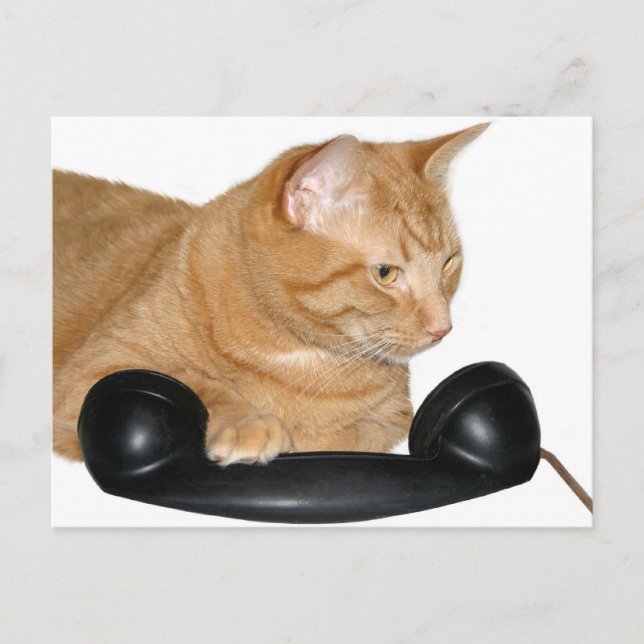 Call me postcard (Front)