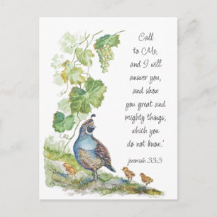Call to Me Scripture Inspiration California Quail Postcard