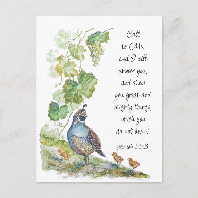 Call to Me Scripture Inspiration California Quail  Postcard (Front)