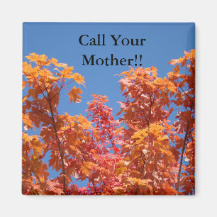 Call Your Mother! magnets Blue Sky Fall Trees