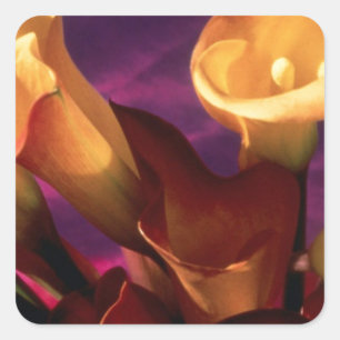 Calla Lilies Collection Square Sticker