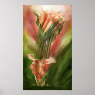 Calla Lilies Dans Calla Vase Poster D'Art / Imprim