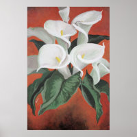 Calla Lilies On A Red Background