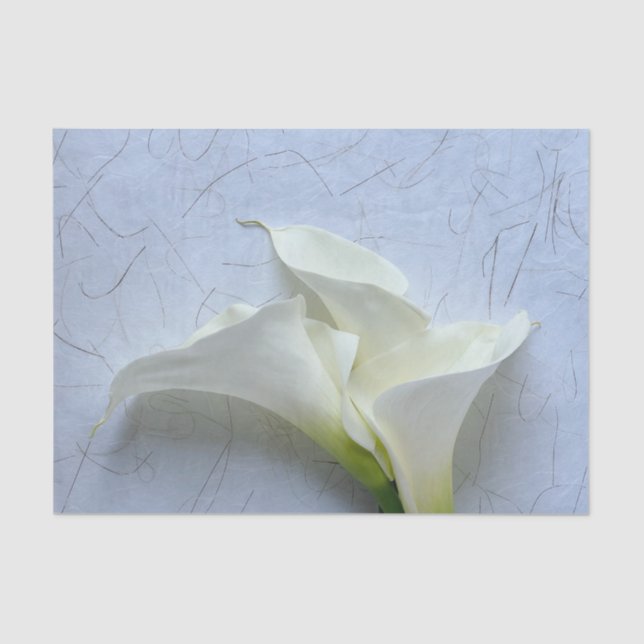 Calla lilies on decorative background tissue paper (Front)