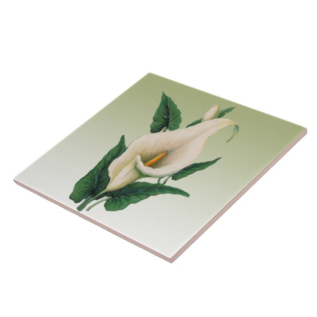 Calla Lilies Tile (Side)