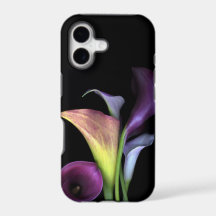 Calla Lilly's