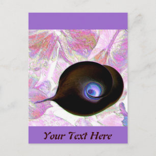 Calla Lily 2011 Postcard