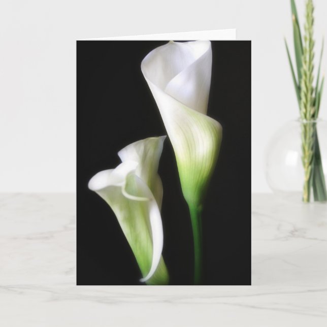 Calla Lily 2 Card (Front)