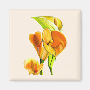 Calla lily blossom watercolor floral magnet