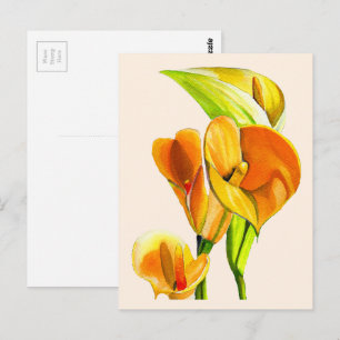 Calla lily blossom watercolor floral postcard