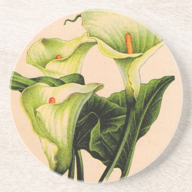 calla lily calla lilies coaster (Front)