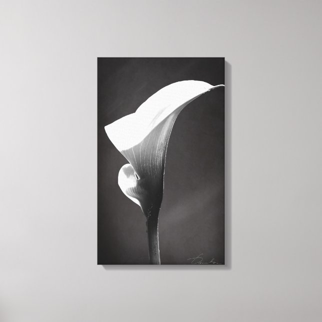 Calla lily canvas print (Front)